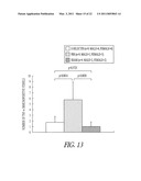 E-SELECTIN COMPOSITIONS AND USE THEREOF FOR INDUCING E-SELECTIN TOLERANCE diagram and image