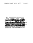 COX-2 function and wound healing diagram and image