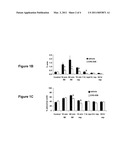 METHODS OF REGULATING ACTIN CYTOSKELETAL REARRANGEMENT AND INTERCELLULAR GAP FORMATION diagram and image