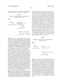 5-FLUOROPYRIMIDINONE DERIVATIVES diagram and image