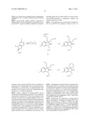  SUBSTITUTED SPIRO[CYCLOALKYL-1,3 -INDOL]-2 (1 H)-ONE DERIVATIVES AND THEIR USE AS P38 MITOGEN-ACTIVATED KINASE INHIBITORS diagram and image