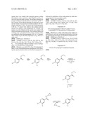  SUBSTITUTED SPIRO[CYCLOALKYL-1,3 -INDOL]-2 (1 H)-ONE DERIVATIVES AND THEIR USE AS P38 MITOGEN-ACTIVATED KINASE INHIBITORS diagram and image