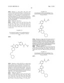  SUBSTITUTED SPIRO[CYCLOALKYL-1,3 -INDOL]-2 (1 H)-ONE DERIVATIVES AND THEIR USE AS P38 MITOGEN-ACTIVATED KINASE INHIBITORS diagram and image