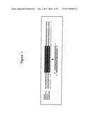 Polynucleotides for causing RNA interference and method for inhibiting gene expression using the same diagram and image