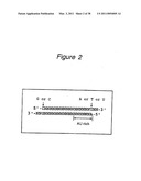 Polynucleotides for causing RNA interference and method for inhibiting gene expression using the same diagram and image