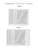 Polynucleotides for causing RNA interference and method for inhibiting gene expression using the same diagram and image