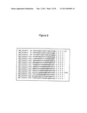 Polynucleotides for causing RNA interference and method for inhibiting gene expression using the same diagram and image