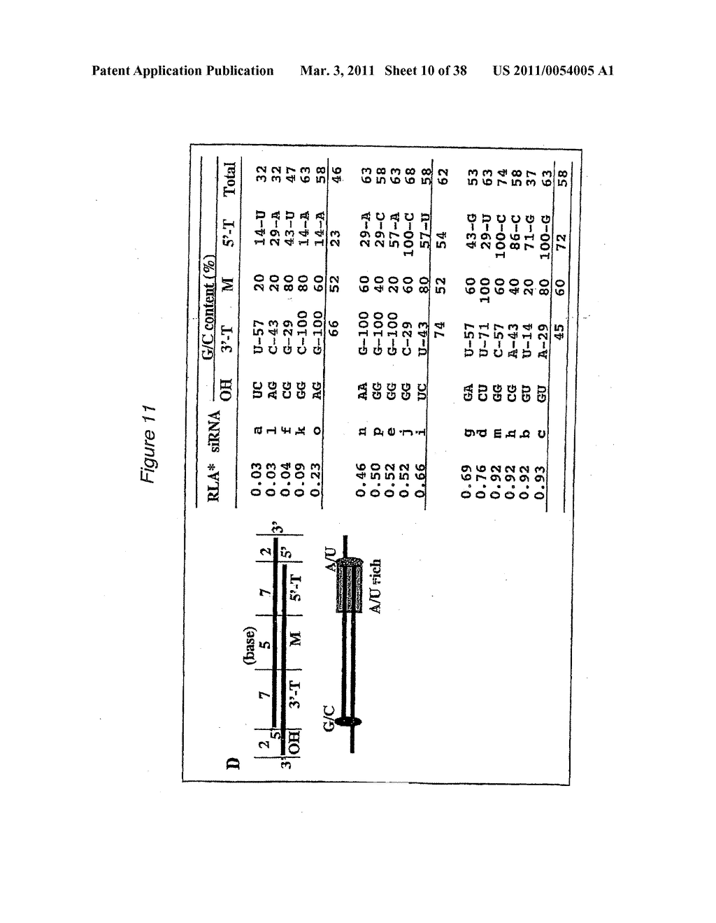 Polynucleotides for causing RNA interference and method for inhibiting gene expression using the same - diagram, schematic, and image 11