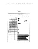 Polynucleotides for causing RNA interference and method for inhibiting gene expression using the same diagram and image