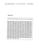 Polynucleotides for causing RNA interference and method for inhibiting gene expression using the same diagram and image