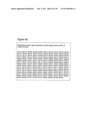 Polynucleotides for causing RNA interference and method for inhibiting gene expression using the same diagram and image