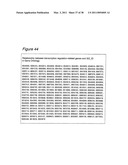 Polynucleotides for causing RNA interference and method for inhibiting gene expression using the same diagram and image