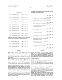 Polynucleotides for causing RNA interference and method for inhibiting gene expression using the same diagram and image