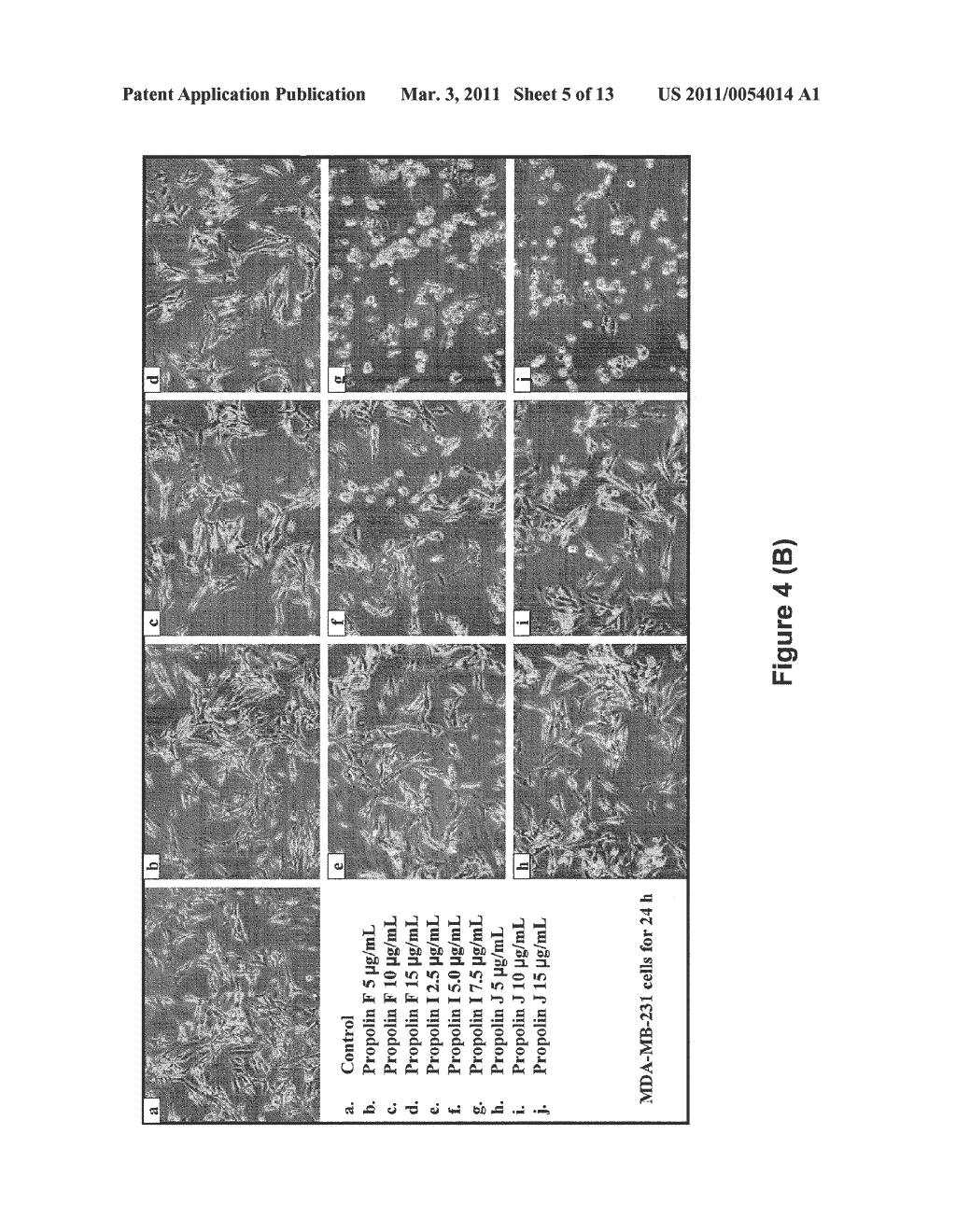 PRENYLFLAVANONE COMPOUNDS AND USES THEREOF - diagram, schematic, and image 06