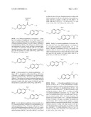 NAPTHYLENE INHIBITORS OF CYCLOOXYGENASE diagram and image