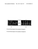 Polymer compositions diagram and image