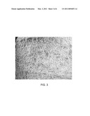 ADDITIVES IN GYPSUM PANELS AND ADJUSTING THEIR PROPORTIONS diagram and image