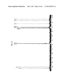 CYCLOOLEFIN-BASED POLYMER COMPOUND, PREPARATION METHOD THEREOF AND SELECTIVE HYDROGENATION PROCESS diagram and image