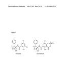 SYNTHETIC MYCOTOXIN ADSORBENTS AND METHODS OF MAKING AND UTILIZING THE SAME diagram and image