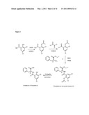 SYNTHETIC MYCOTOXIN ADSORBENTS AND METHODS OF MAKING AND UTILIZING THE SAME diagram and image