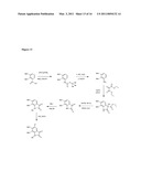 SYNTHETIC MYCOTOXIN ADSORBENTS AND METHODS OF MAKING AND UTILIZING THE SAME diagram and image