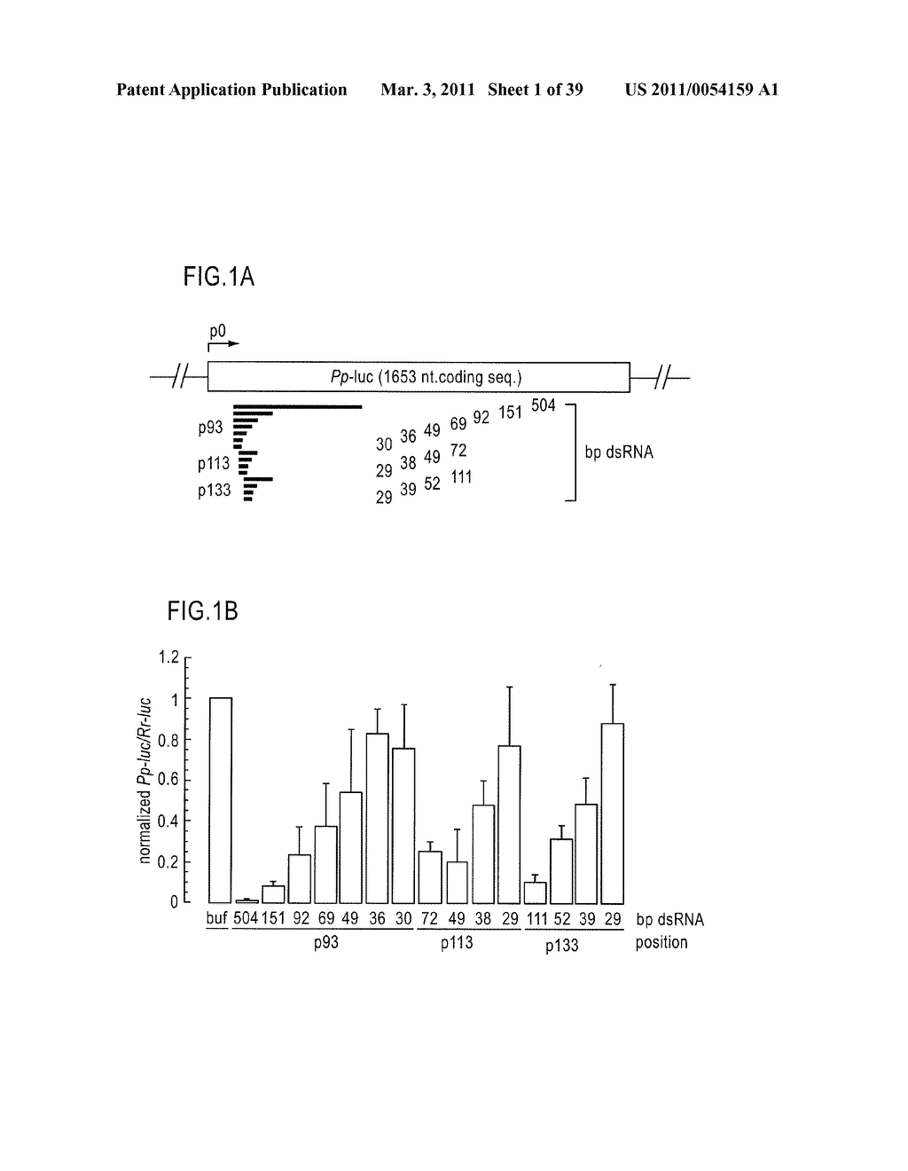 RNA INTERFERENCE MEDIATING SMALL RNA MOLECULES - diagram, schematic, and image 02