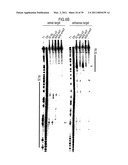 RNA INTERFERENCE MEDIATING SMALL RNA MOLECULES diagram and image