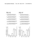 RNA INTERFERENCE MEDIATING SMALL RNA MOLECULES diagram and image