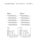 RNA INTERFERENCE MEDIATING SMALL RNA MOLECULES diagram and image