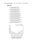 RNA INTERFERENCE MEDIATING SMALL RNA MOLECULES diagram and image