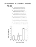 RNA INTERFERENCE MEDIATING SMALL RNA MOLECULES diagram and image