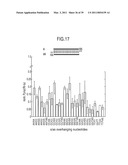 RNA INTERFERENCE MEDIATING SMALL RNA MOLECULES diagram and image