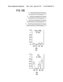 RNA INTERFERENCE MEDIATING SMALL RNA MOLECULES diagram and image