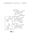 THERAPEUTIC COMPOSITIONS diagram and image