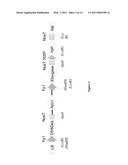 SYNTHESIS OF LONG-CHAIN POLYUNSATURATED FATTY ACIDS BY RECOMBINANT CELLS diagram and image