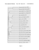 SYNTHESIS OF LONG-CHAIN POLYUNSATURATED FATTY ACIDS BY RECOMBINANT CELLS diagram and image