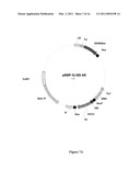 SYNTHESIS OF LONG-CHAIN POLYUNSATURATED FATTY ACIDS BY RECOMBINANT CELLS diagram and image