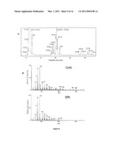 SYNTHESIS OF LONG-CHAIN POLYUNSATURATED FATTY ACIDS BY RECOMBINANT CELLS diagram and image