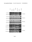 SYNTHESIS OF LONG-CHAIN POLYUNSATURATED FATTY ACIDS BY RECOMBINANT CELLS diagram and image