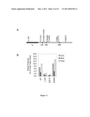 SYNTHESIS OF LONG-CHAIN POLYUNSATURATED FATTY ACIDS BY RECOMBINANT CELLS diagram and image