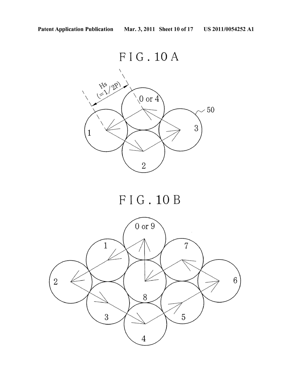 ENDOSCOPE HAVING OPTICAL FIBERS - diagram, schematic, and image 11