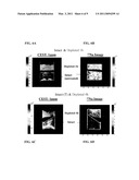 Method, System, and Computer-Accessible Medium for Assessment of Glycosaminoglycan Concentration in Vivo by Chemical Exchange Saturation Transfer diagram and image