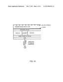 Spinal canal access and probe positioning, devices and methods diagram and image