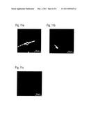 Textile Composite Material for Decontaminating the Skin diagram and image