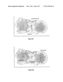 EXPEDITING K-MEANS CLUSTER ANALYSIS DATA MINING USING SUBSAMPLE ELIMINATION PREPROCESSING diagram and image