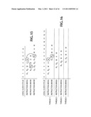 Function Generator diagram and image