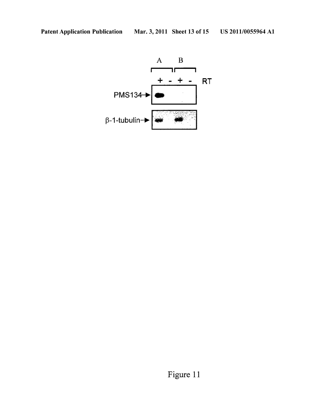 Method for Generating Hypermutable Plants - diagram, schematic, and image 14