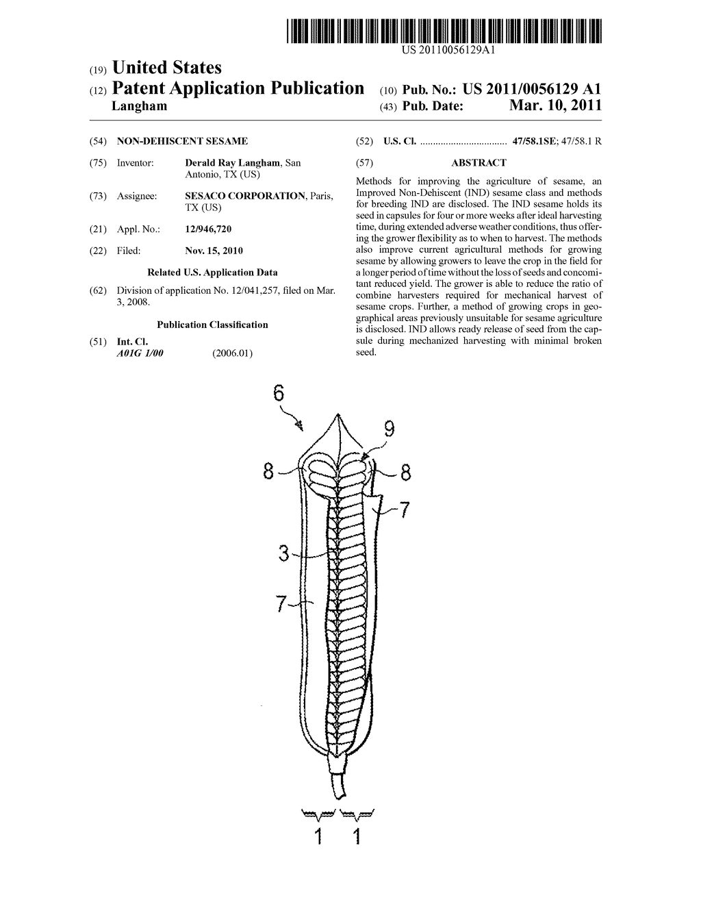 Non-Dehiscent Sesame - diagram, schematic, and image 01