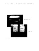 FLOW AND PIPE MANAGEMENT USING VELOCITY PROFILE MEASUREMENT AND/OR PIPE WALL THICKNESS AND WEAR MONITORING diagram and image