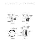 FLOW AND PIPE MANAGEMENT USING VELOCITY PROFILE MEASUREMENT AND/OR PIPE WALL THICKNESS AND WEAR MONITORING diagram and image